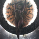Illustration for article titled The Queen of Kerrigan Cosplay